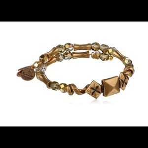 Alex and Ani stargazer wrap